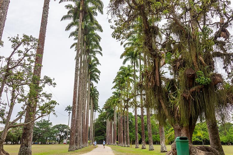 parques em São José dos Campos