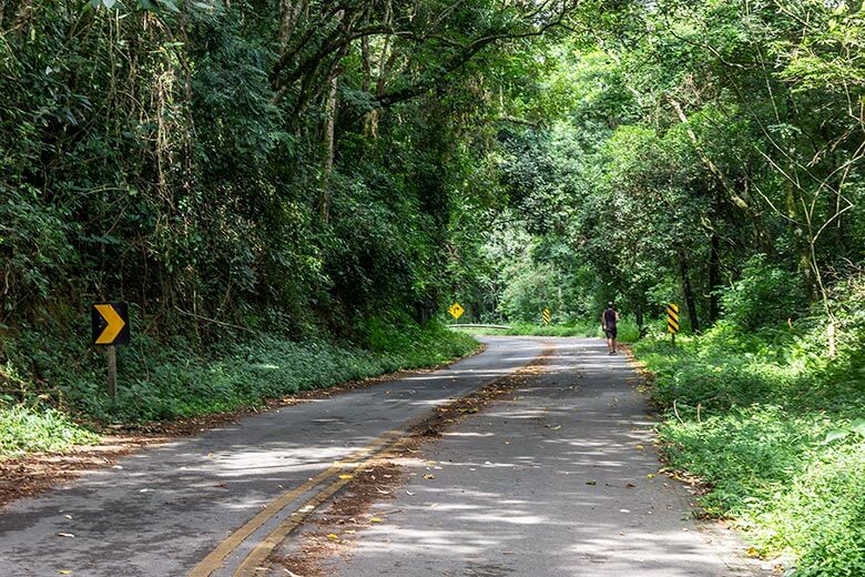 como chegar no Pico do Jaraguá