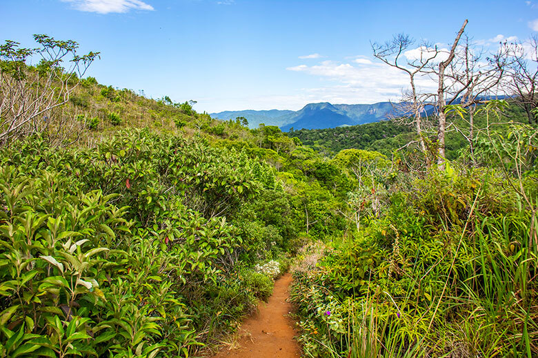 Praia da Lagoinha Ubatuba fotos
