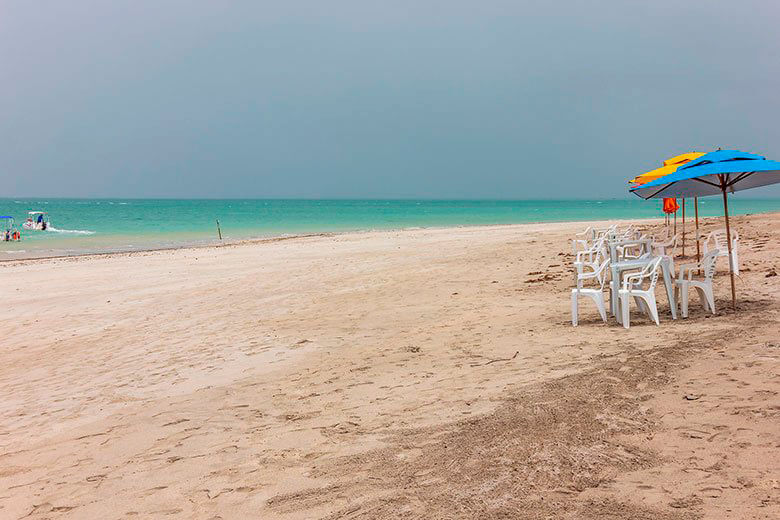 distância entre Porto de Galinhas e Maragogi