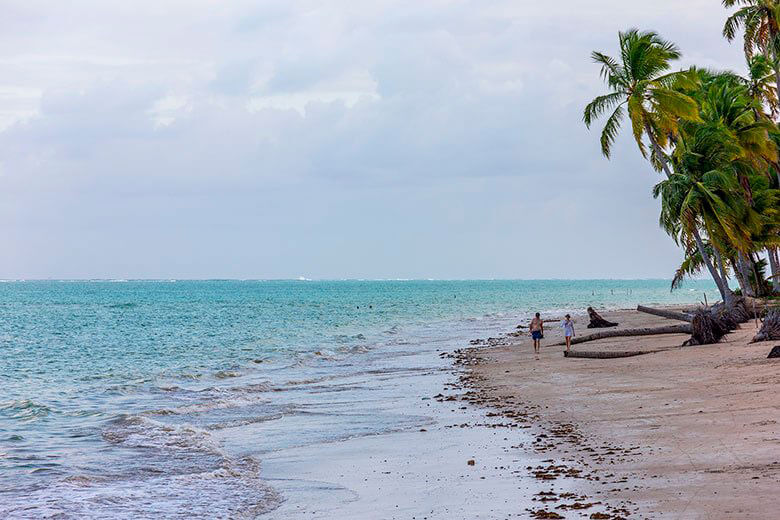 passeios em Porto de Galinhas e Maragogi