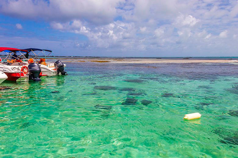 bate-volta de Porto de Galinhas para Maragogi