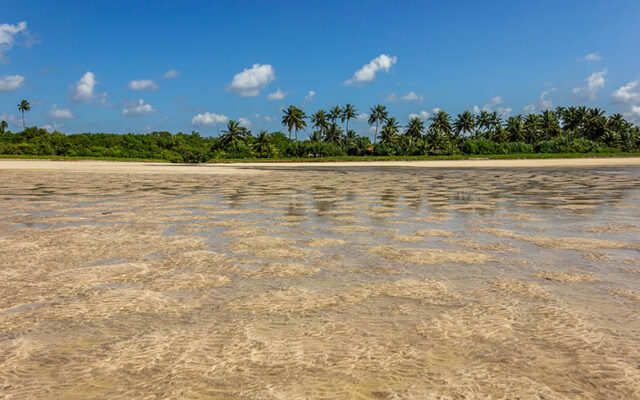 quando ir a São Miguel dos Milagres - Alagoas