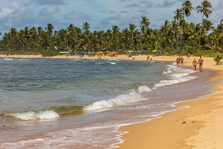 o que fazer na Praia do Forte