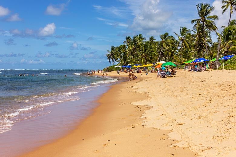 passeio bate-volta para a Praia do Forte