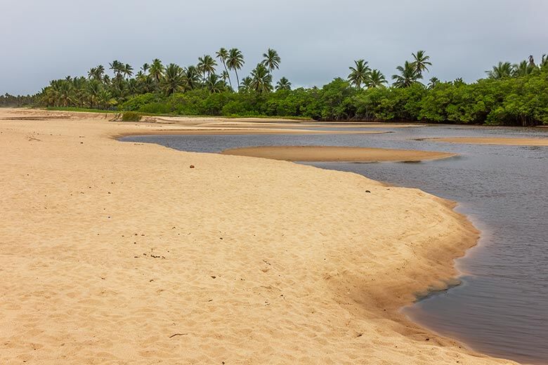 melhor época para viajar à Praia do Forte