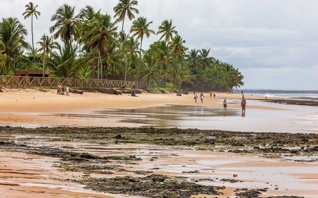 como chegar a Barra Grande - Bahia