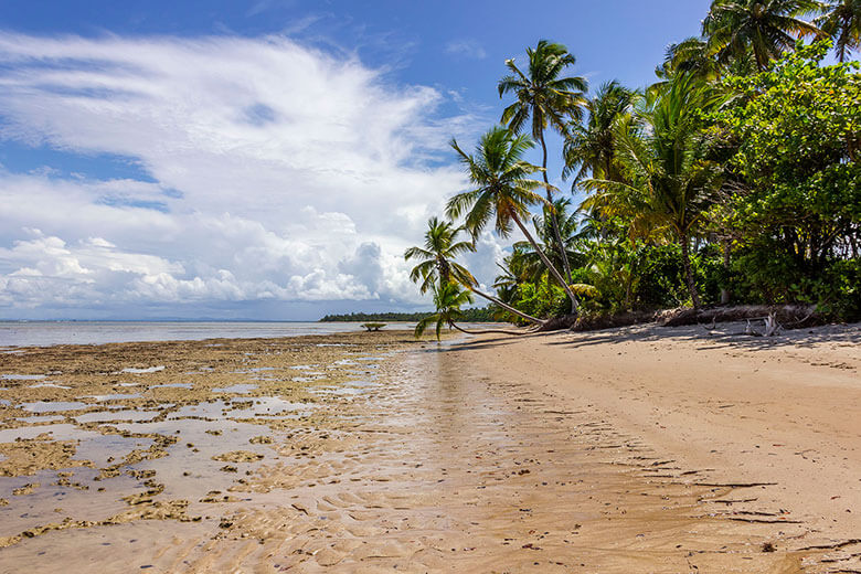 quando viajar a Boipeba