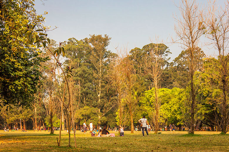 lugares para ir em São Paulo gratuitos