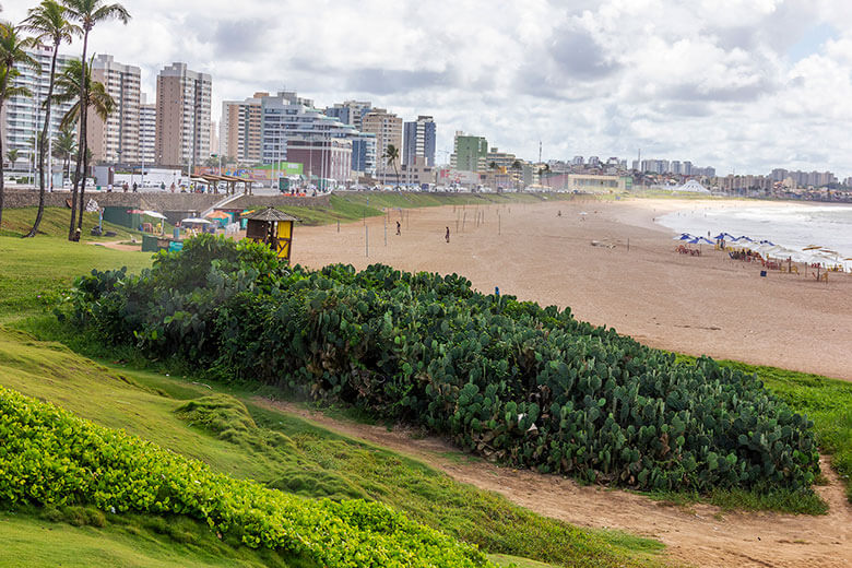 o que fazer em Salvador em 7 dias