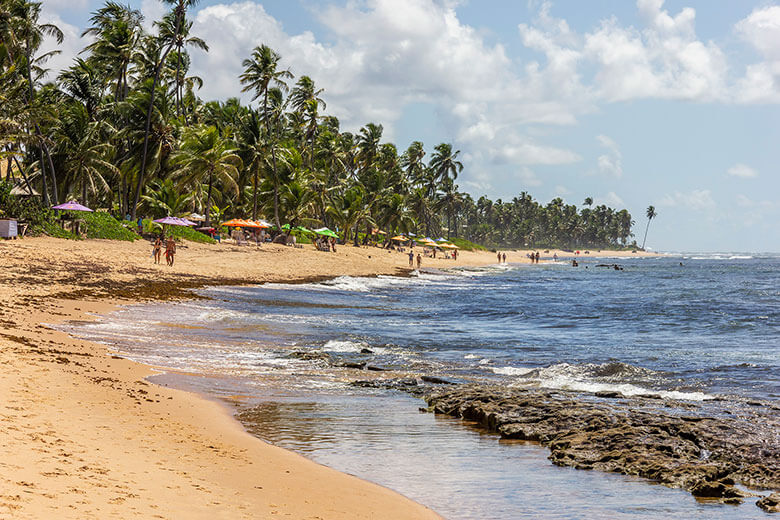 o que fazer em Salvador tours