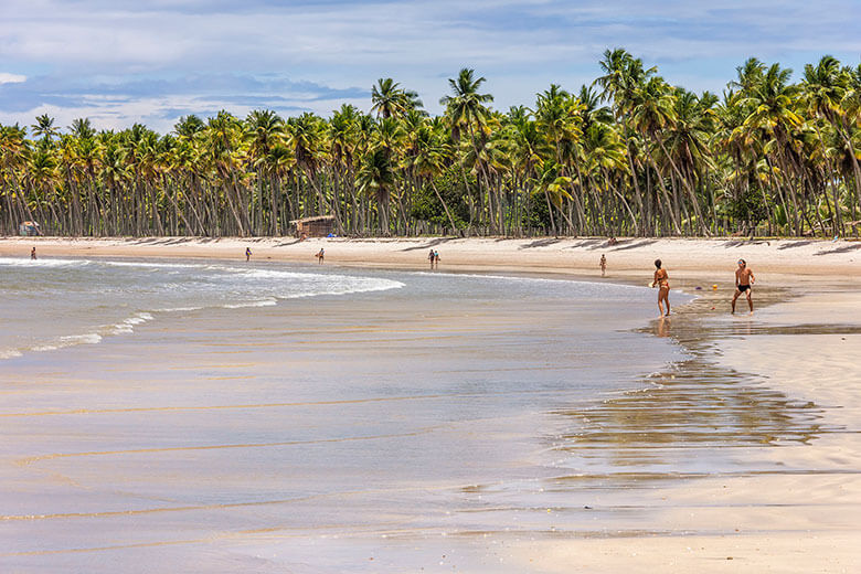 Bahia ilhas