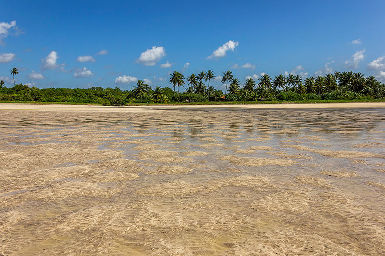 praias de Maragogi passeios