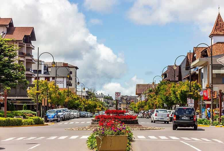 Linhas do gramado: Entenda cada uma