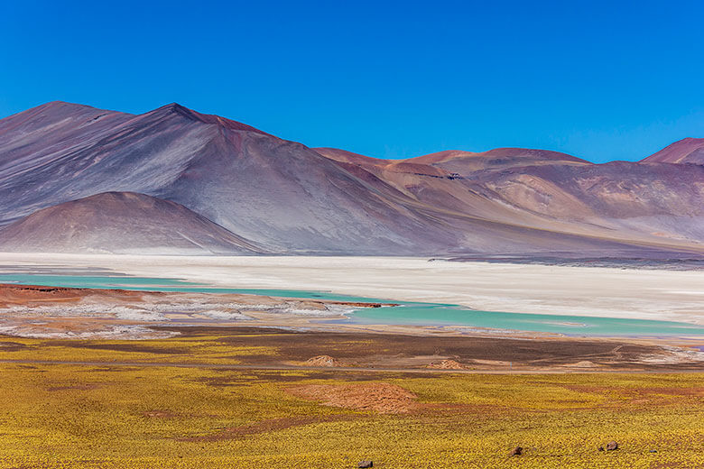 Atacama onde fica?