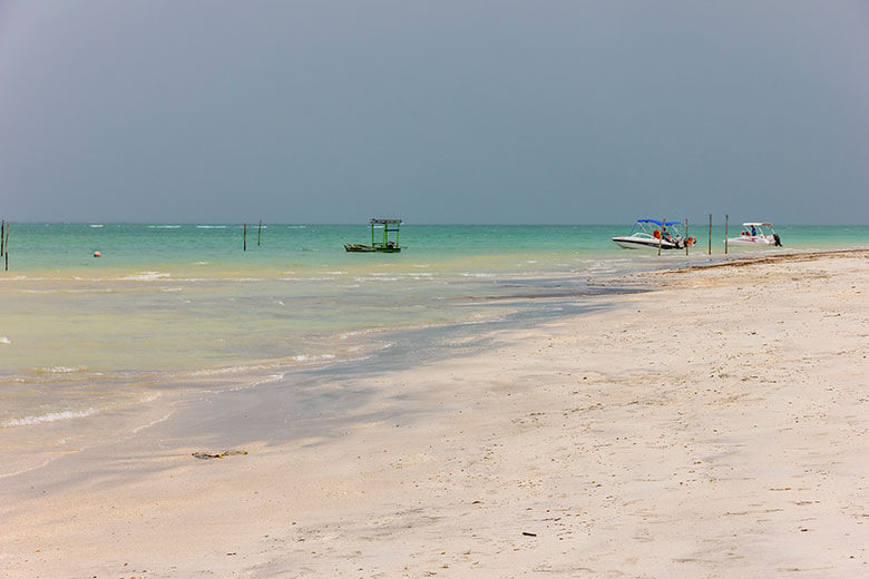 praias de Maragogi