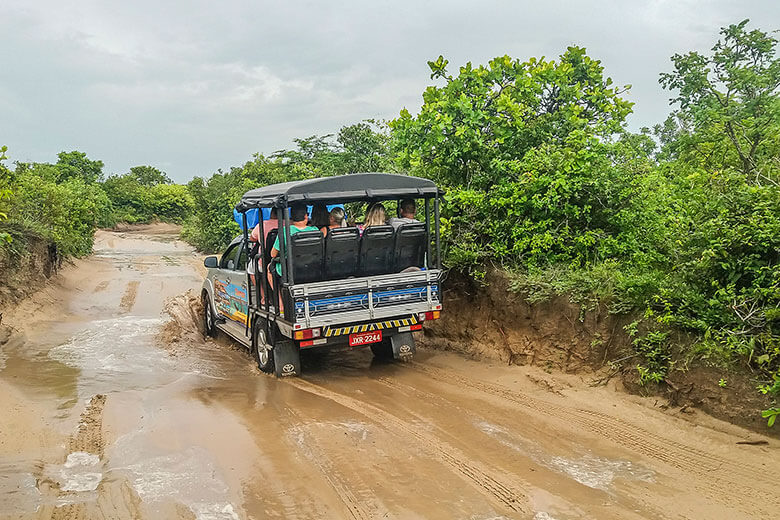 transfer Jericoacoara barato