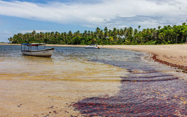 Boipeba