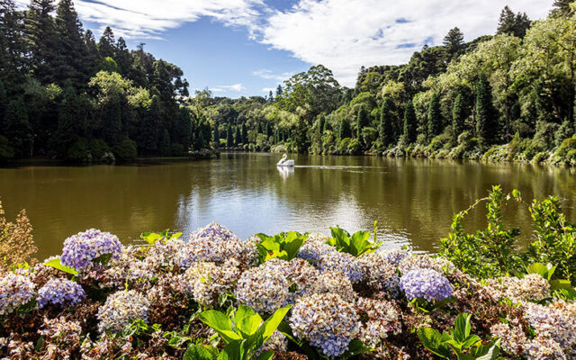 Gramado