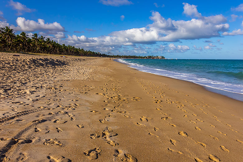 o que fazer na Praia de Maracaípe?