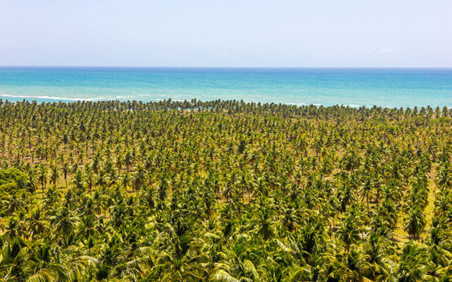 Praia do Gunga