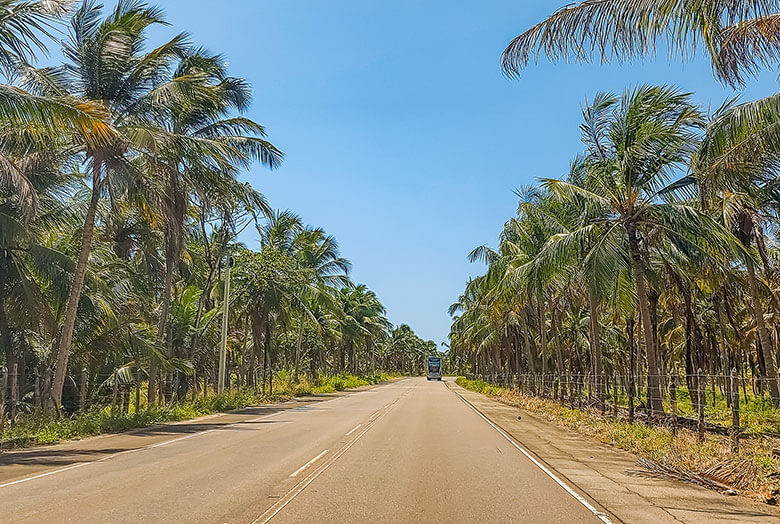 como ir à Praia do Gunga?