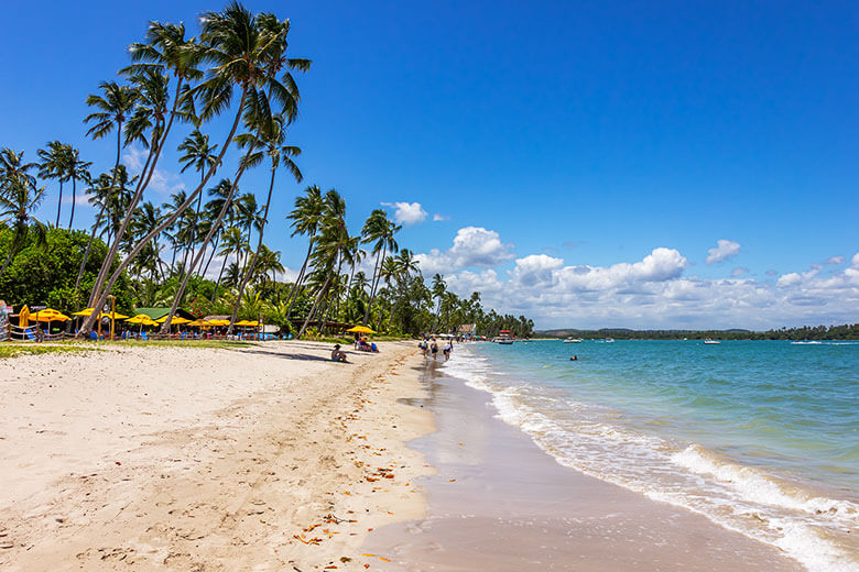 melhor época para ir à Praia dos Carneiros