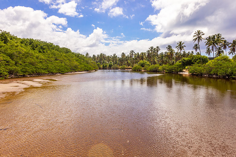 praias de São Miguel dos Milagres passeios