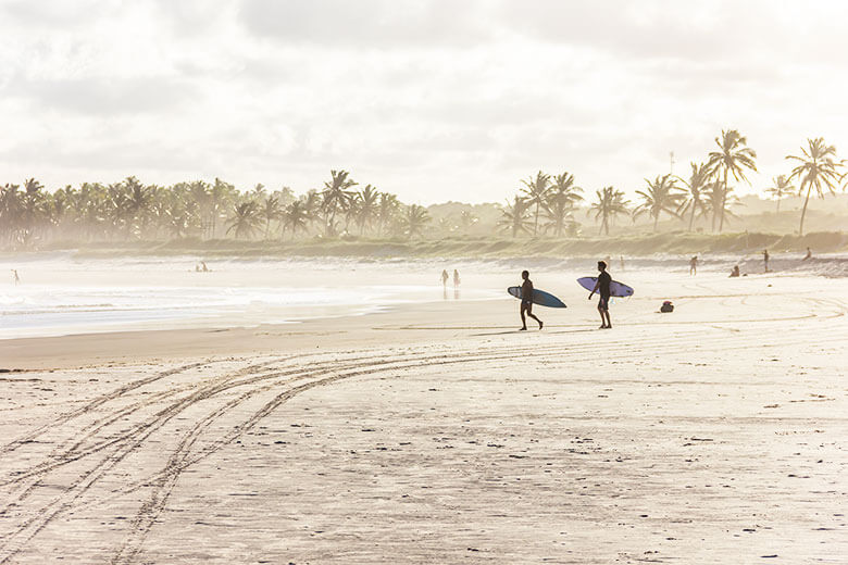 Praia do Francês surfe