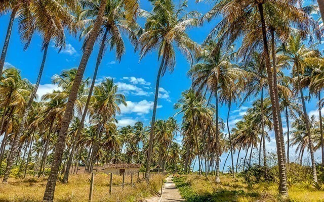 onde fica São Miguel dos Milagres?