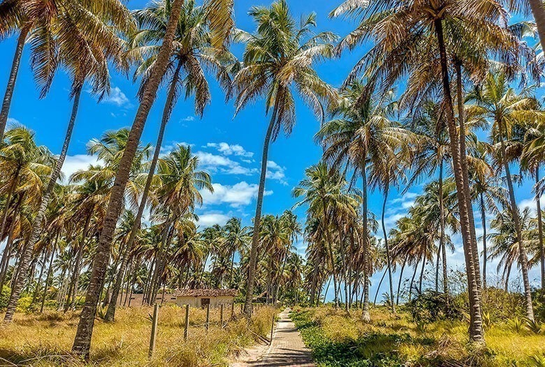 onde fica São Miguel dos Milagres?