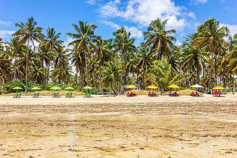 Praia do Patacho passeios