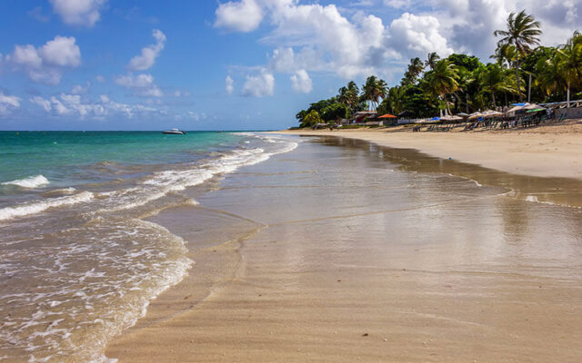 Tamandaré Pernambuco