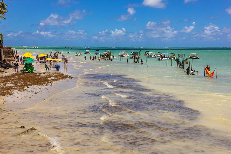 melhores praias de Maragogi em 2024