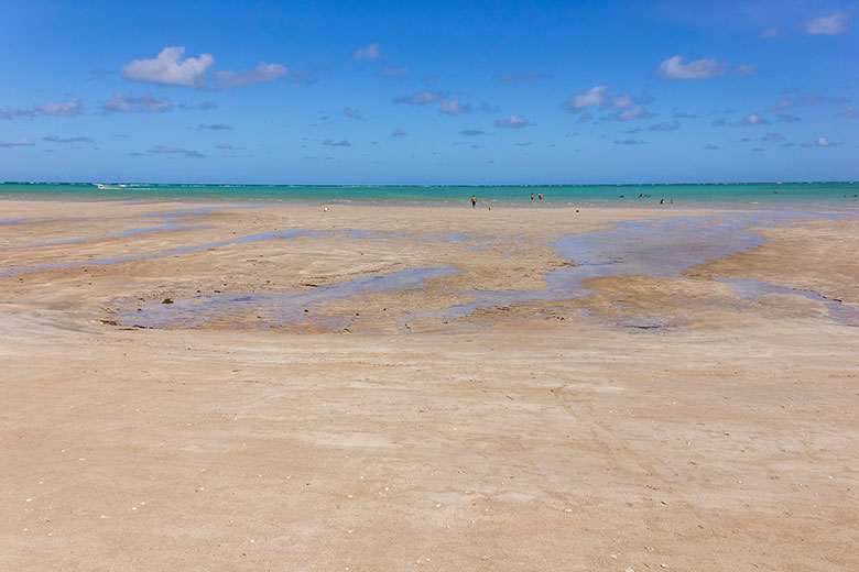 maré baixa em Maragogi