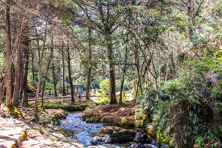 Medellín pontos turísticos