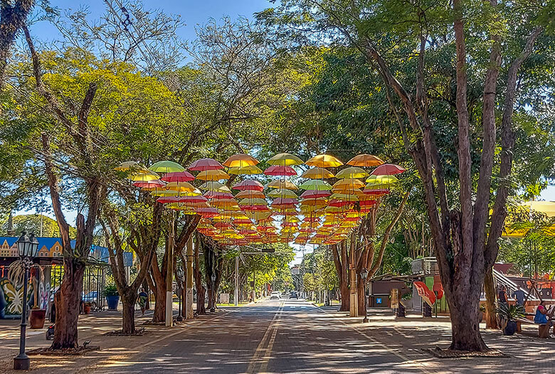 como chegar a Holambra