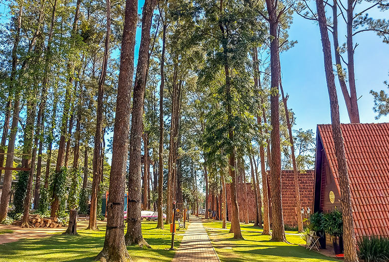 excursão Holambra 1 dia