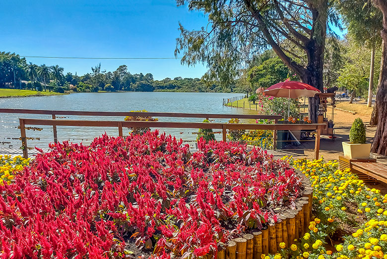 passeios para fazer em Campinas