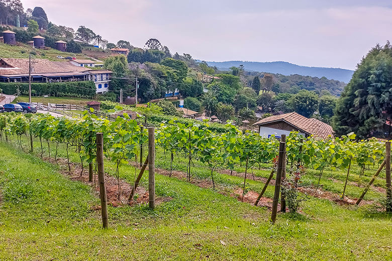 cidades vizinhas de São Roque