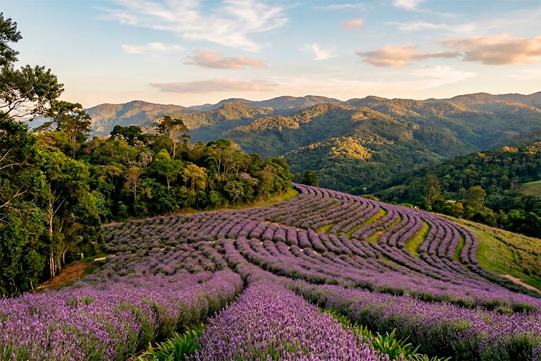 pousadas baratas em Cunha