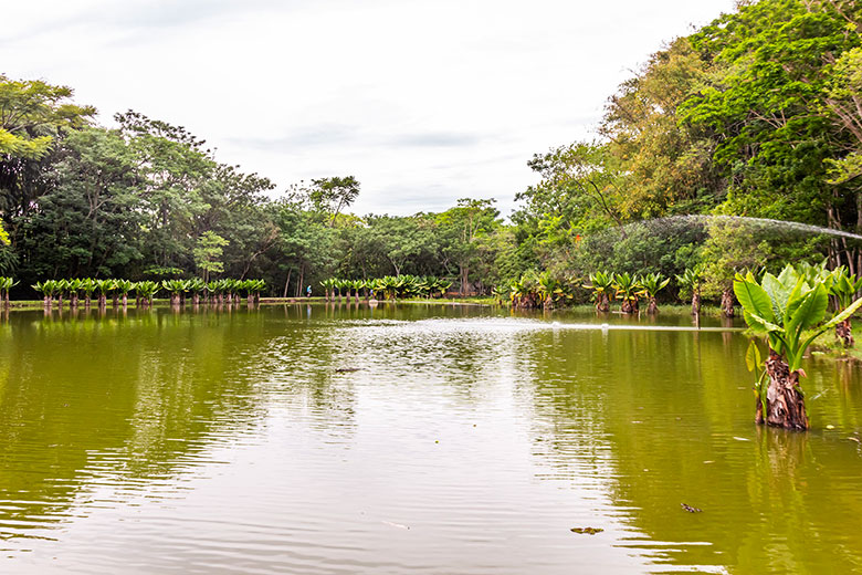 pousadas baratas em Socorro