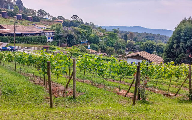pousadas baratas em São Roque